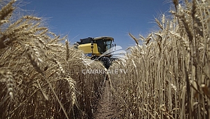 TARIM ÜRÜNLERİ ÜRETİCİ FİYAT ENDEKSİ AÇIKLANDI