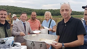 BİGA'DA ÇELTİK HASADI BAŞLADI