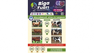 BİGA FUARI'NA DAMGA VURACAK YARIŞMA