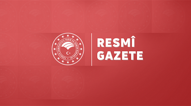 KÜÇÜK ÖLÇEKLİ BALIKÇILARA SAĞLANACAK DESTEK BELİRLENDİ