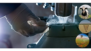 186 MİLYON LİRALIK TARIMSAL DESTEKLEME ÖDEMESİ HESAPLARA AKTARILDI