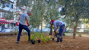 TARİHİ NECİP PAŞA CAMİ'NDE ÇEVRE DÜZENLEMESİ YAPILDI