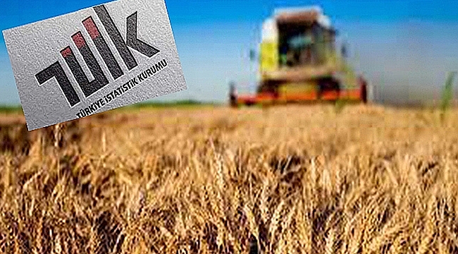TARIM ÜRÜNLERİ ÜRETİCİ FİYAT ENDEKSİ AÇIKLANDI