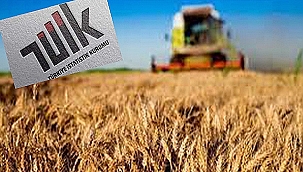 TARIM ÜRÜNLERİ ÜRETİCİ FİYAT ENDEKSİ AÇIKLANDI