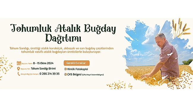 TOHUMLUK ATALIK BUĞDAY DAĞITIMI BAŞLIYOR