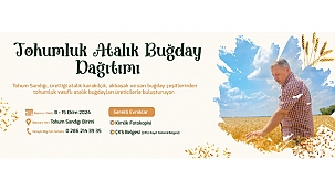 TOHUMLUK ATALIK BUĞDAY DAĞITIMI BAŞLIYOR