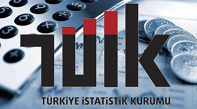 YURT İÇİ ÜRETİCİ FİYAT ENDEKSİ AÇIKLANDI