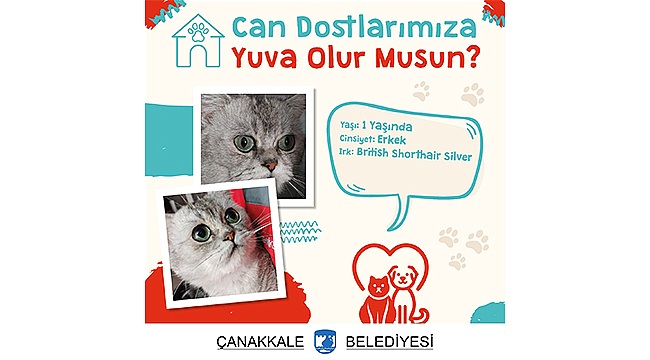 CAN DOSTLARIMIZA YUVA OLUR MUSUNUZ?