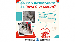CAN DOSTLARIMIZA YUVA OLUR MUSUNUZ?