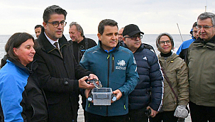 GELİBOLU SUALTI PARKI'NDAKİ TARİHİ "HMS MAJESTİC" BATIĞINA 400 ISTAKOZ BIRAKILDI