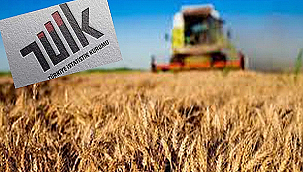 TARIM ÜRÜNLERİ ÜRETİCİ FİYAT ENDEKSİ AÇIKLANDI