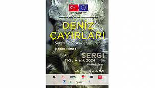 'DENİZ ÇAYIRLARI' SERGİSİ 11 ARALIK'TA ZİYARETE AÇILACAK