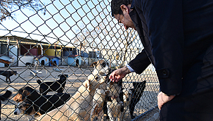 SOKAK HAYVANLARI BAKIM VE REHABİLİTASYON MERKEZİ'Nİ ZİYARET ETTİ