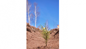 ULUDAĞ ELEKTRİK DİJİTALLEŞME ÇALIŞMALARIYLA DOĞAYA KATKI SAĞLIYOR