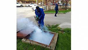 KIŞLAK MÜCADELESİ ÇALIŞMALARI YÜRÜTÜLÜYOR