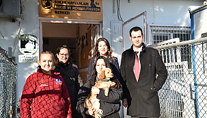 SOKAK HAYVANLARI İÇİN ÇALIŞMALAR DEVAM EDİYOR