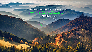 AKÇANSA'YA CDP İKLİM DEĞİŞİKLİĞİ PROGRAMI'NDA A- LİDERLİK NOTU