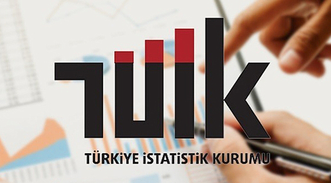 İSTATİSTİKLERLE KADIN