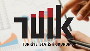 İSTATİSTİKLERLE KADIN