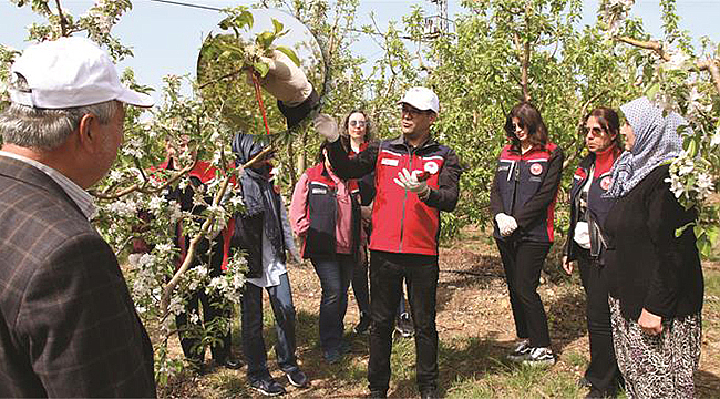 ÇANAKKALE'DE ELMA İÇ KURDUNA KARŞI BİYOTEKNİK MÜCADELE YAYGINLAŞIYOR