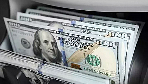 DOLAR DÜŞÜŞE GEÇTİ