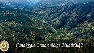 ÇANAKKALE'DE ORMANLARA GİRİŞLER YASAKLANDI