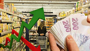 EKONOMİK GÜVEN ENDEKSİ 96,7 OLDU