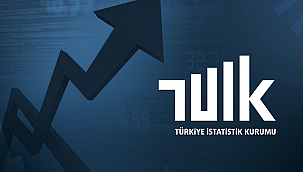 YURT İÇİ ÜRETİCİ FİYAT ENDEKSİ AÇIKLANDI
