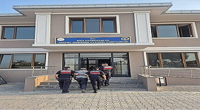 BİÇERDÖVER KAYNAKLI YANGINDA 51 DÖNÜM ARAZİ ZARAR GÖRDÜ