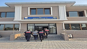 BİÇERDÖVER KAYNAKLI YANGINDA 51 DÖNÜM ARAZİ ZARAR GÖRDÜ