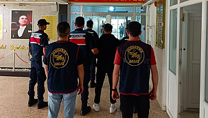 ÇANAKKALE'DE HAZİRAN AYININ İLK YARISINDA 11 ORMAN YANGINI
