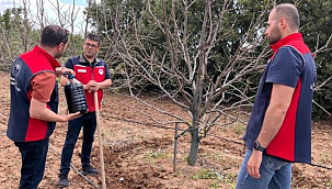 ÇANAKKALE'DE HÜMİK ASİT UYGULAMASI BAŞLADI