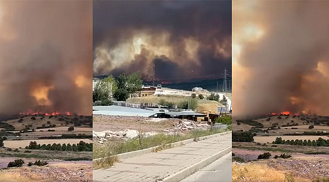 EZİNE'DE KORKUTAN YANGIN!