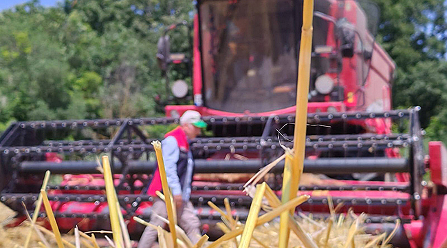 HASAT DÖNEMİNDE YANGINLARA KARŞI AZAMİ ÖNLEM
