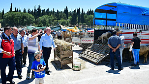 KURBAN DENETİMLERİ SÜRÜYOR