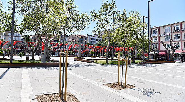 RİSK TEŞKİL EDEN AĞAÇLAR KALDIRILARAK YENİ AĞAÇLAR DİKİLİYOR