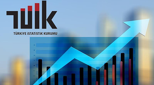 SANAYİ ÜRETİMİNDE KARMAŞIK TABLO