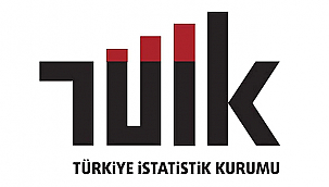 YURT DIŞINDAN TÜRKİYE'YE 314 BİN 588 KİŞİ GÖÇ ETTİ