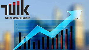 YURT İÇİ ÜRETİCİ FİYAT ENDEKSİ AÇIKLANDI
