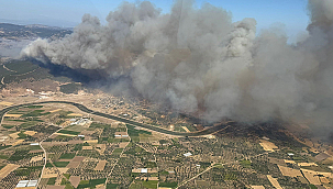 AYVACIK'TA ORMAN YANGINI: HAVADAN VE KARADAN YOĞUN MÜDAHALE SÜRÜYOR
