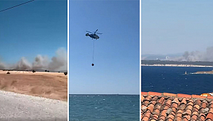 EZİNE'DE ORMAN YANGINI!