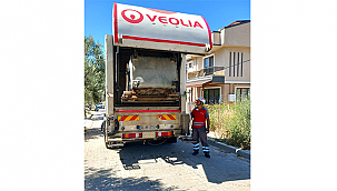 KARASİNEK VE HAŞERELERE YÖNELİK ÇALIŞMALAR ARALIKSIZ DEVAM EDİYOR