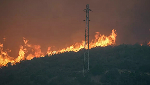 ORMAN YANGININDA YÜREK YAKAN KAYIP