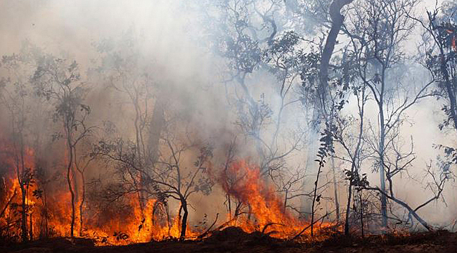 ORMAN YANGINLARINDA DUMAN VE HAVA KİRLİLİĞİNE DİKKAT!