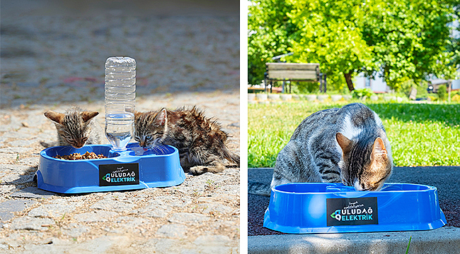 SICAK YAZ GÜNLERİNDE CAN DOSTLARIMIZA DESTEK