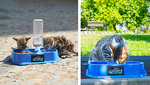 SICAK YAZ GÜNLERİNDE CAN DOSTLARIMIZA DESTEK