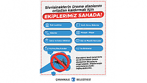 SİVRİSİNEKLERİN ÜREME ALANLARINI ORTADAN KALDIRMAK İÇİN EKİPLER SAHADA!