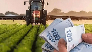 TARIM VE ORMAN BAKANLIĞI'NDAN ÇİFTÇİLERE 826 MİLYON LİRALIK DESTEK ÖDEMESİ