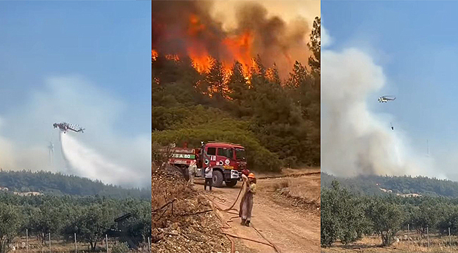 TEKİRDAĞ YANGINI ÇANAKKALEYE SIÇRADI 