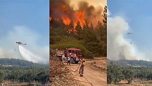 TEKİRDAĞ YANGINI ÇANAKKALEYE SIÇRADI 
